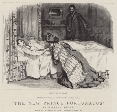 The New Prince Fortunatus by William Small